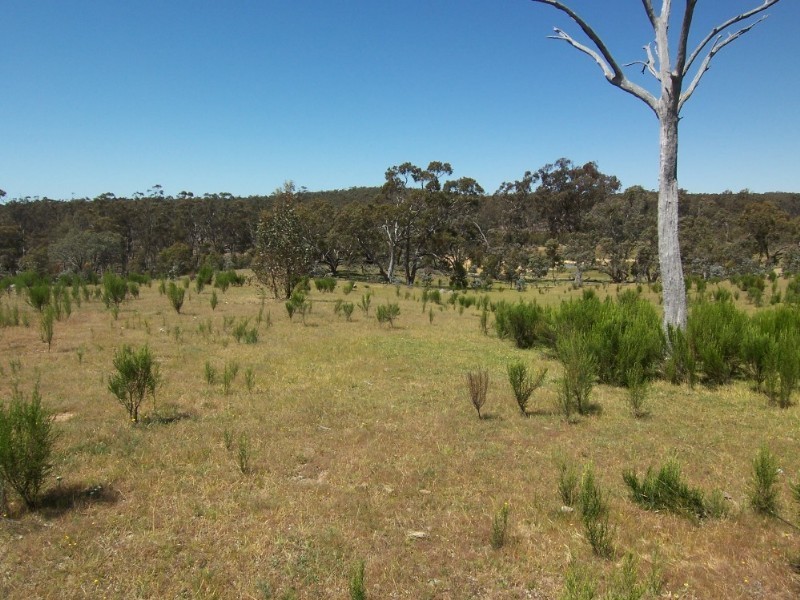 Strathfieldsaye VIC 3551