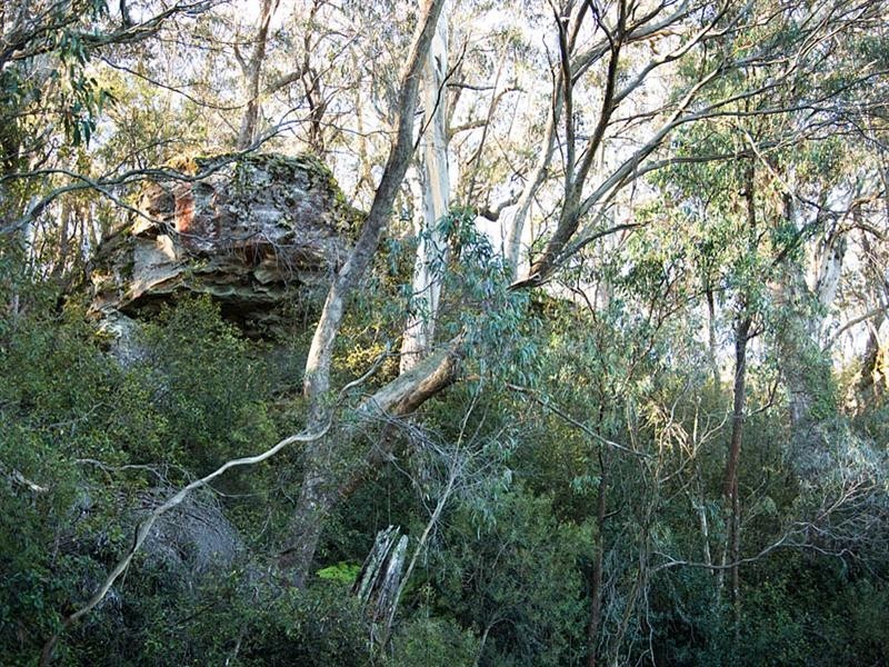 54-56 Shipley Road, Blackheath NSW 2785