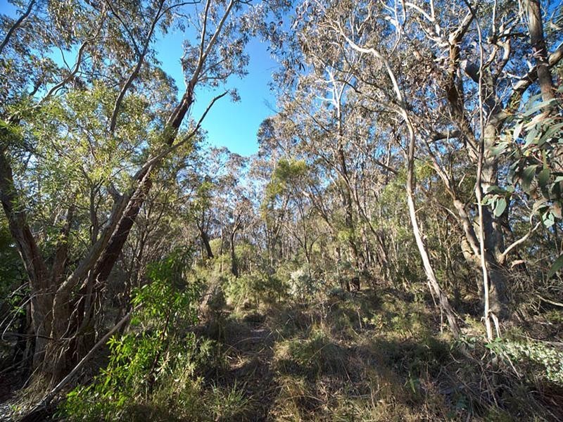 54-56 Shipley Road, Blackheath NSW 2785