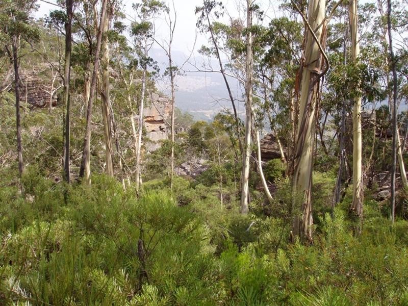 212 (Lot 17) Victoria Street, Mount Victoria NSW 2786