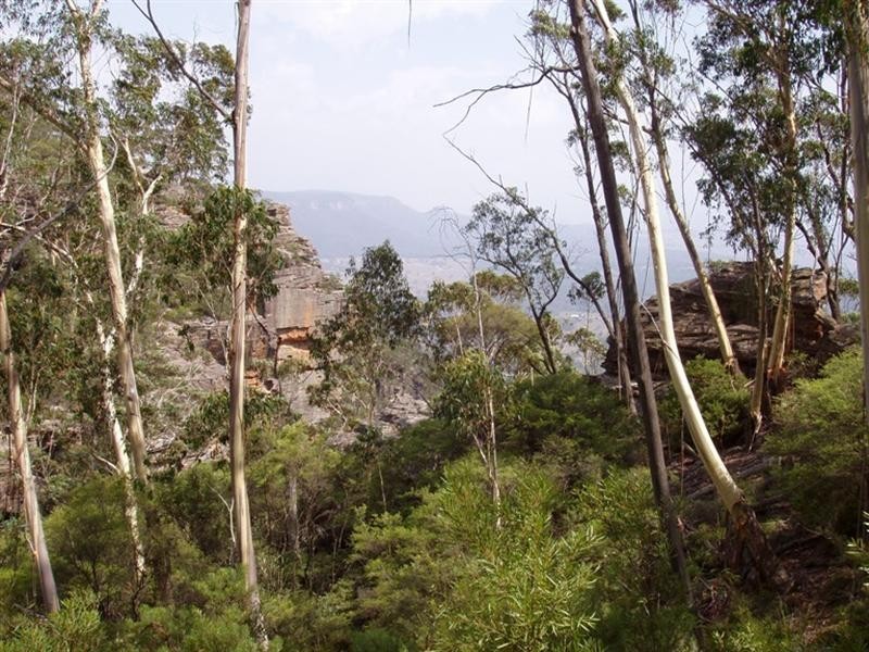 212 (Lot 17) Victoria Street, Mount Victoria NSW 2786