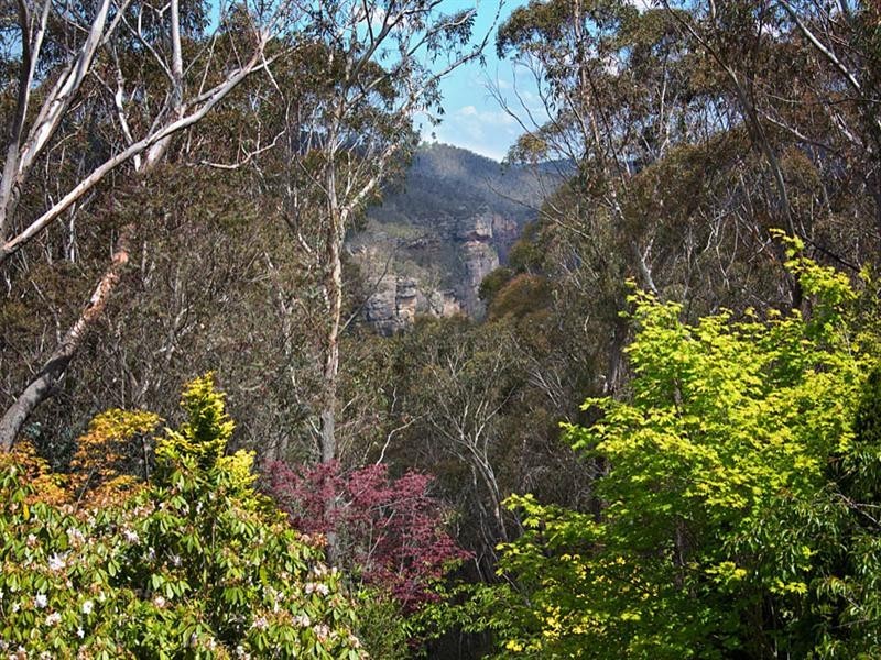 106 – 108 Shipley Road, Blackheath NSW 2785