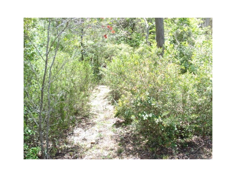 24 Mountbatten Street, Blackheath NSW 2785