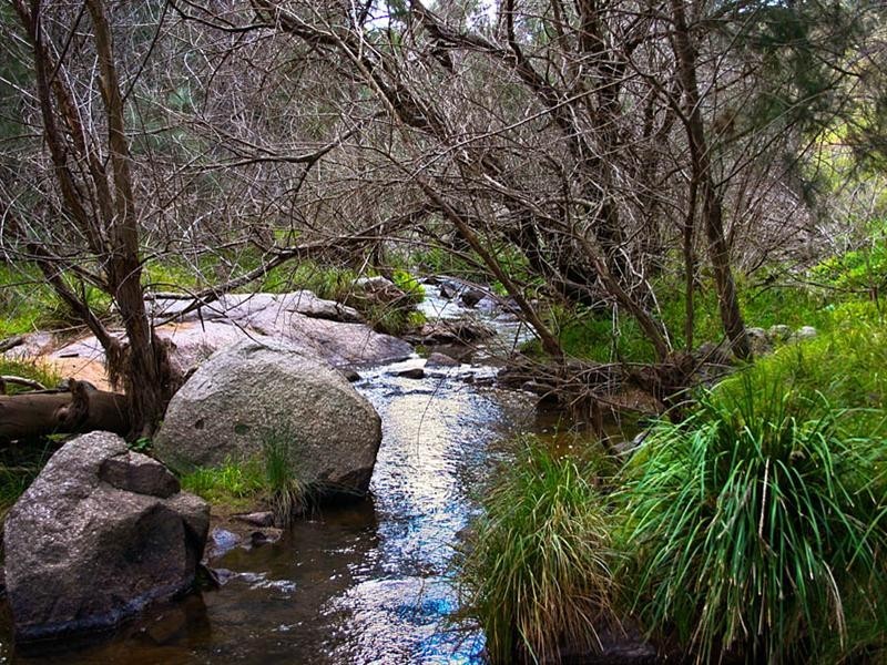 7 Carinya Close, Little Hartley NSW 2790