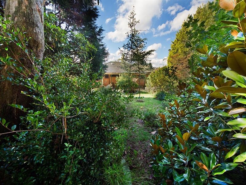 53 Brightlands Avenue, Blackheath NSW 2785