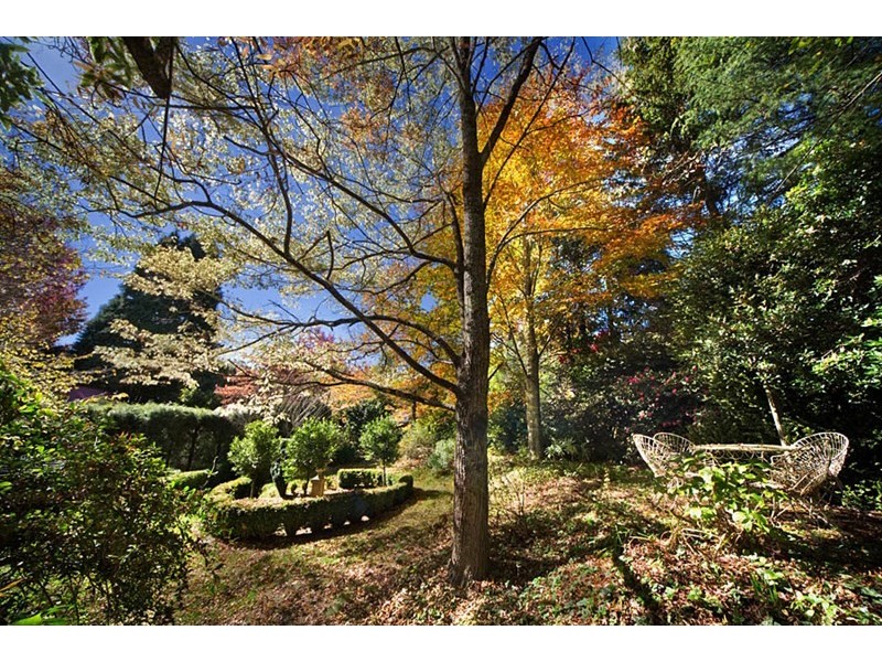 157 Govetts Leap Road, Blackheath NSW 2785