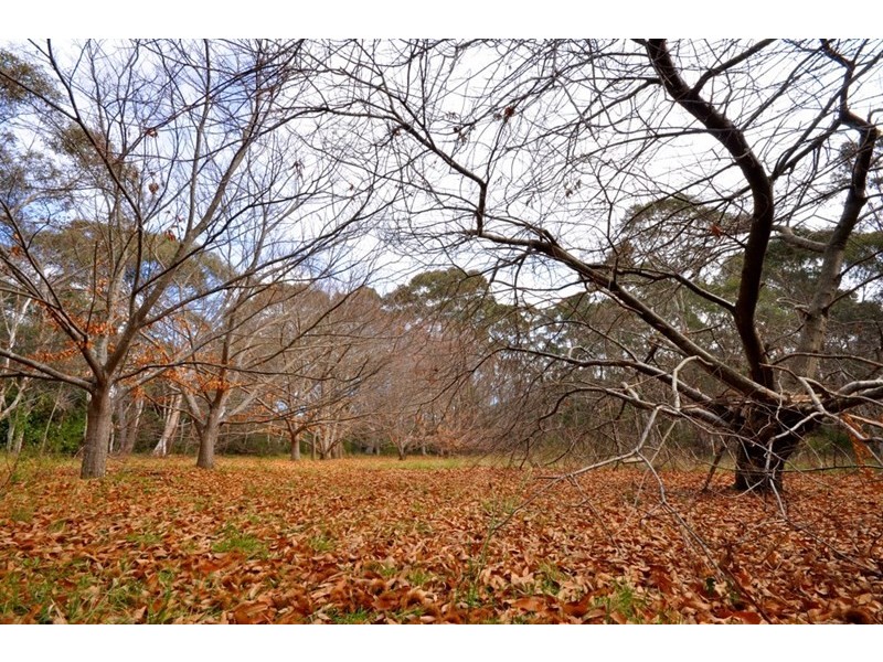 165 – 175 Connaught Road, Blackheath NSW 2785