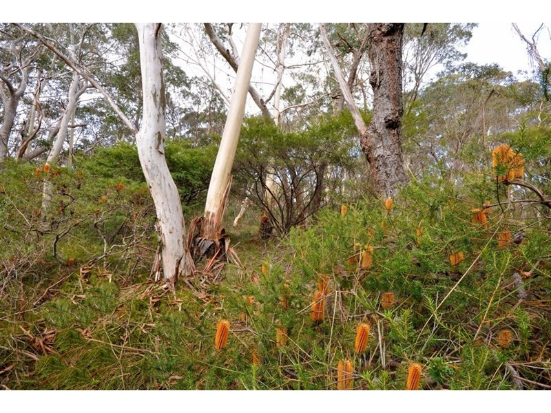 165 – 175 Connaught Road, Blackheath NSW 2785