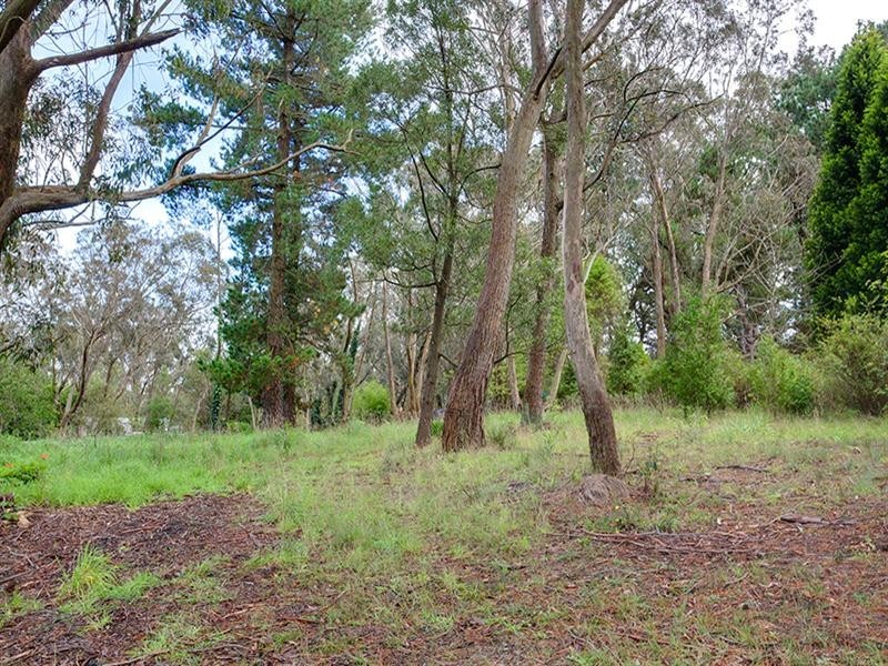 Lot 23 Grandview Road, Mount Victoria NSW 2786