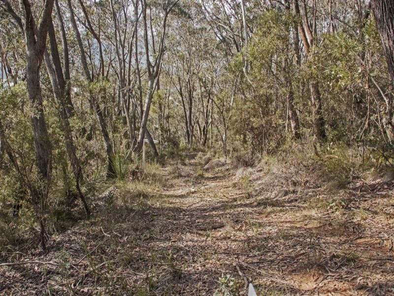 39-41 Shipley Road (Lot 134 Helvatia Avenue), Blackheath NSW 2785