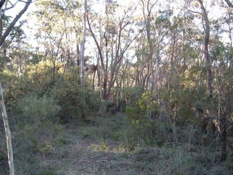 39-41 Shipley Road (Lot 134 Helvatia Avenue), Blackheath NSW 2785