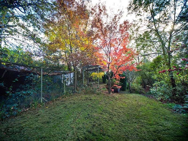 15 Lookout Street, Blackheath NSW 2785