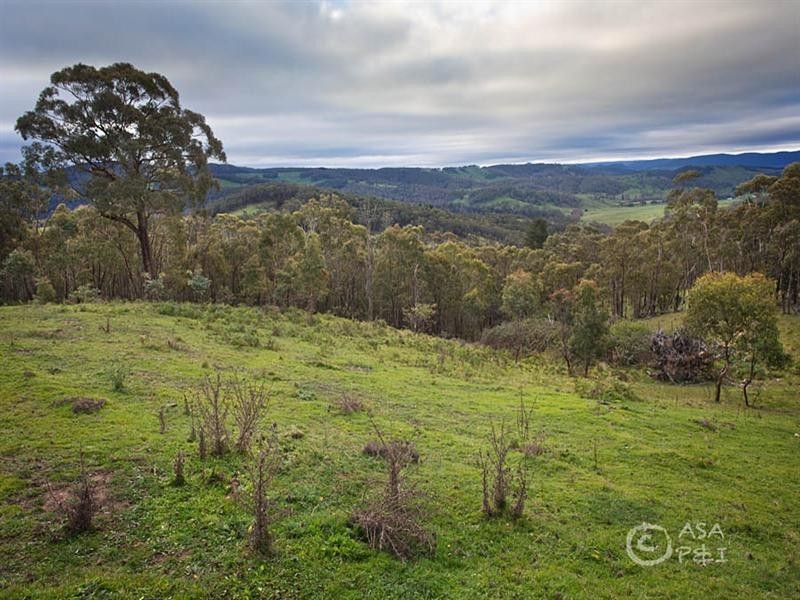 1720 Jenolan Caves Road, Hampton NSW 2790