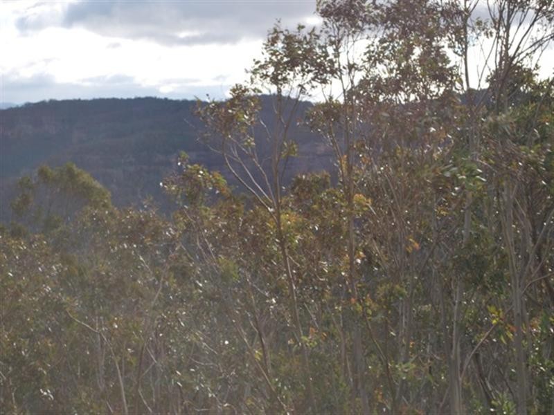 19 Delmonte Avenue, Medlow Bath NSW 2780