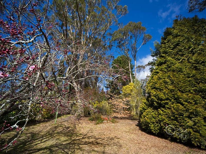 135 Evans Lookout Road, Blackheath NSW 2785