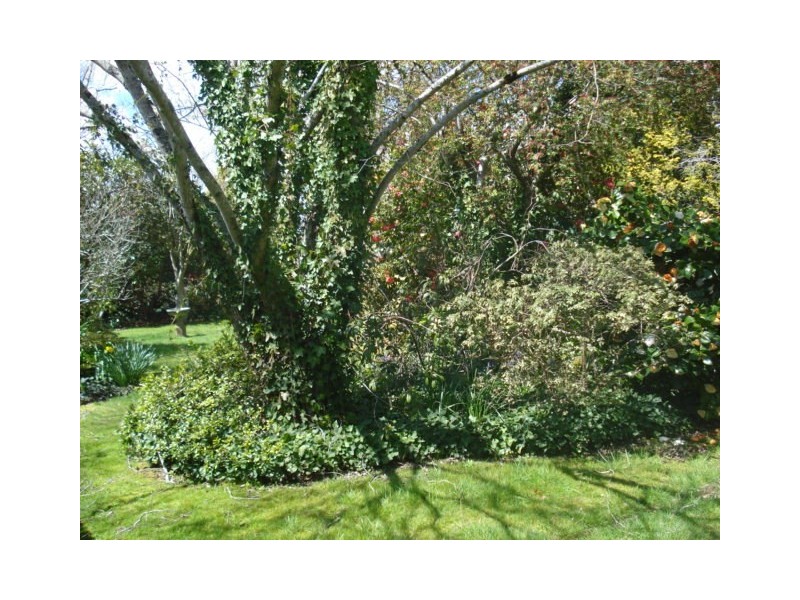 99 Wentworth Street, Blackheath NSW 2785