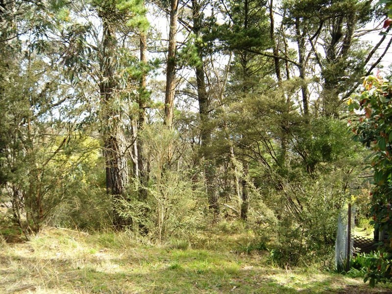 1 Delmonte Avenue, Medlow Bath NSW 2780