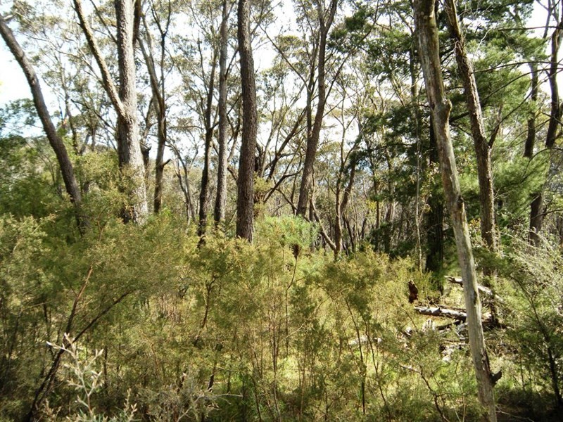 1 Delmonte Avenue, Medlow Bath NSW 2780