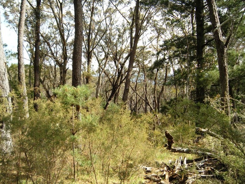 1 Delmonte Avenue, Medlow Bath NSW 2780