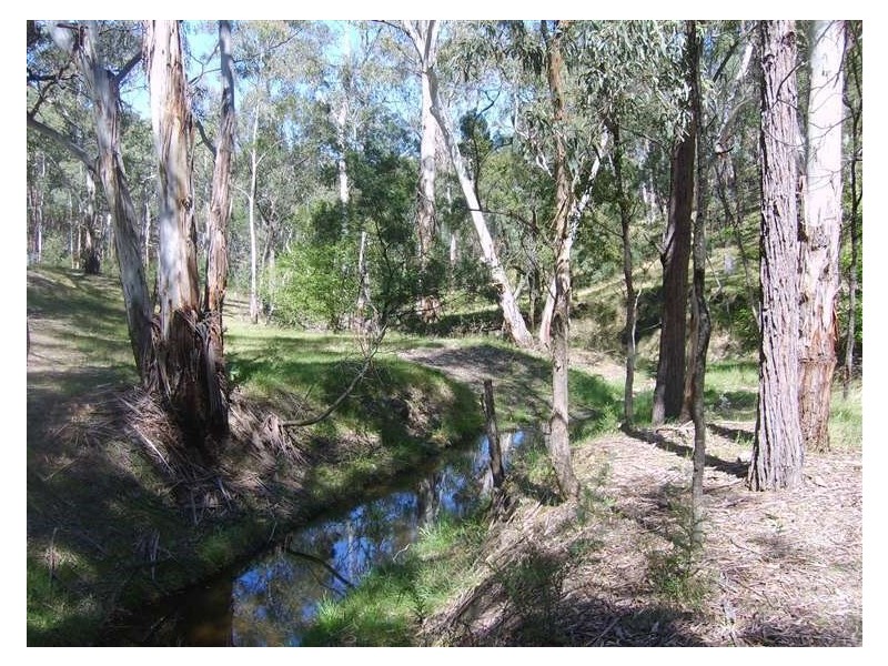 Lot 204 Morris Place, Little Hartley NSW 2790