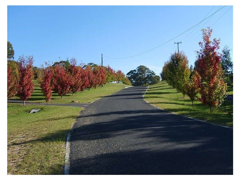 Lot 206 Morris Place, Little Hartley NSW 2790