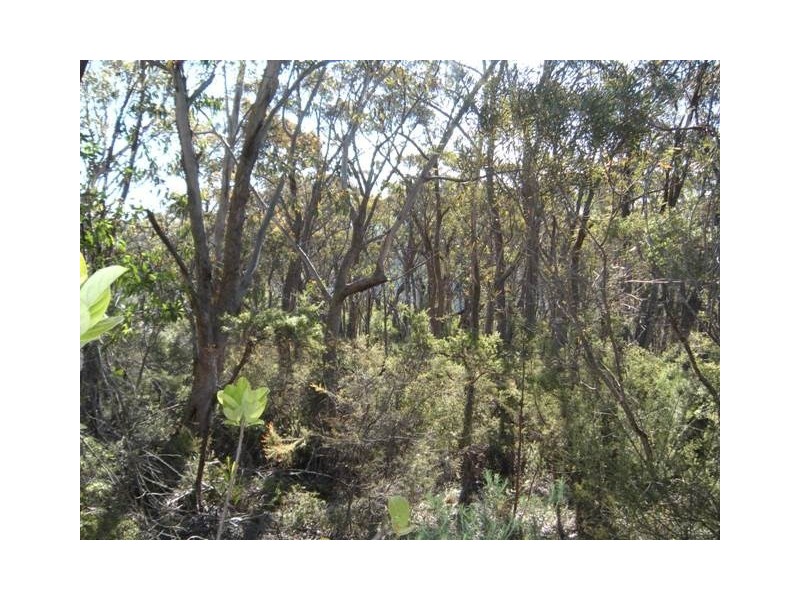 172 Victoria Street, Mount Victoria NSW 2786