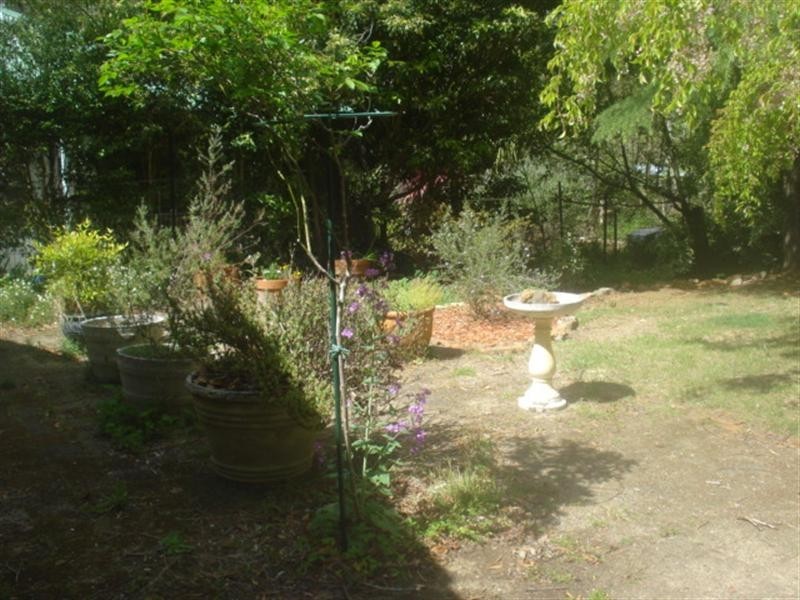 17 Heath Street, Blackheath NSW 2785