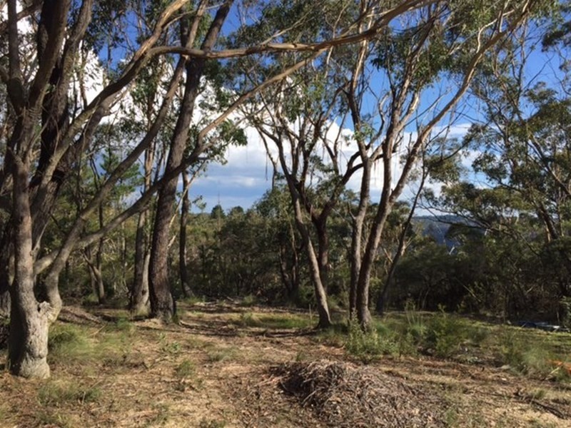 42-44 Ada Road, Blackheath NSW 2785