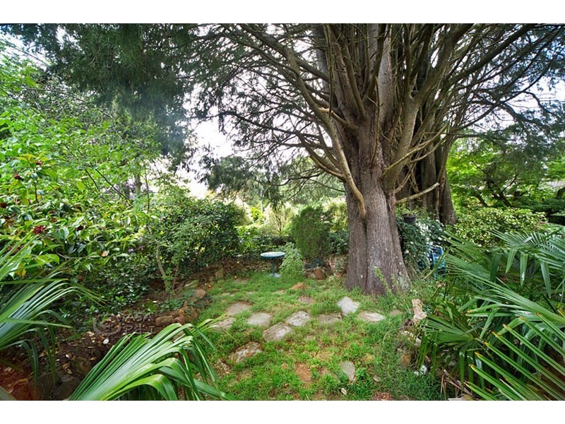 17 Brentwood Avenue, Blackheath NSW 2785