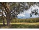 1785 Jenolan Caves Road, Hampton NSW 2790