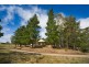 333 Coxs River Road, Little Hartley NSW 2790