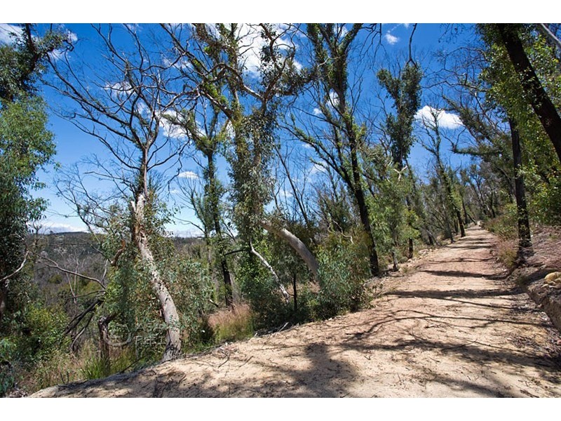 31-33 Salisbury Avenue, Mount Victoria NSW 2786