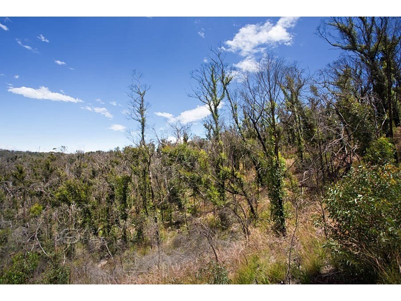 31-33 Salisbury Avenue, Mount Victoria NSW 2786