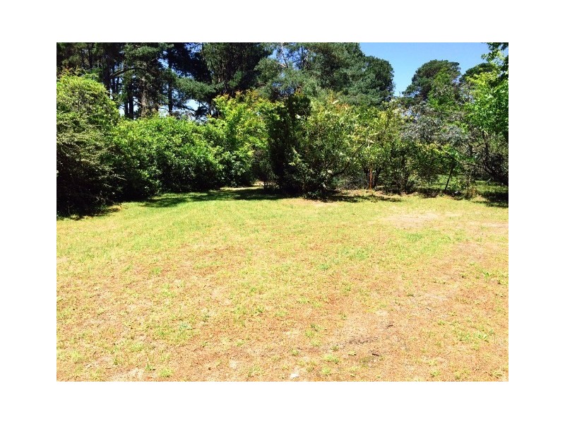 Lot 1/177 Hat Hill Road, Blackheath NSW 2785