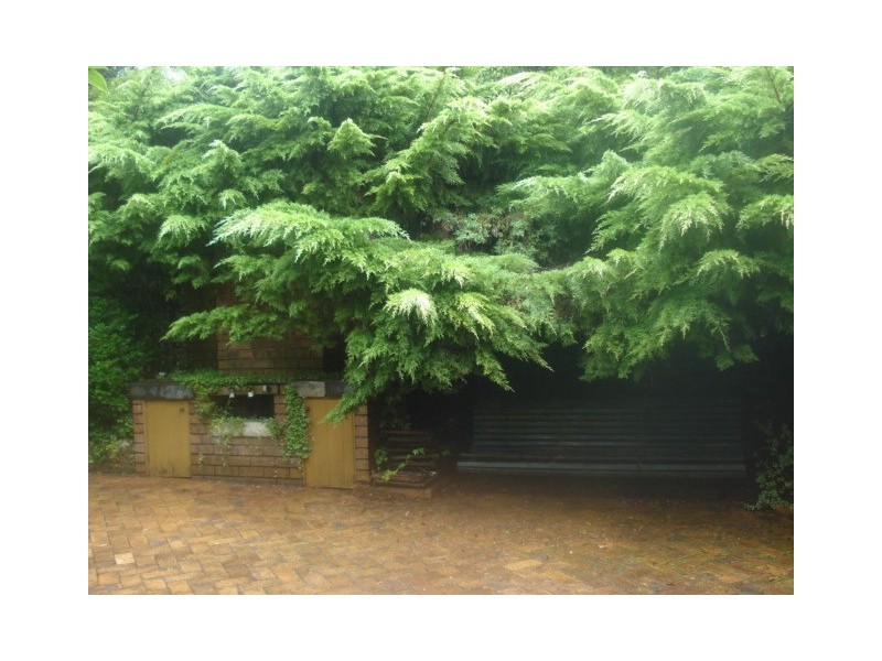 33 Braeside Street, Blackheath NSW 2785