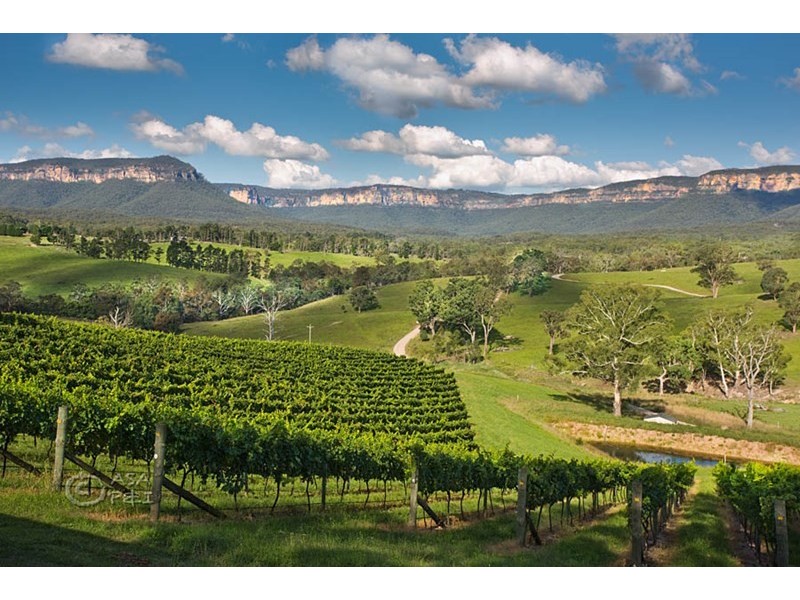 Dryridge Six Foot Track, Megalong NSW 2785