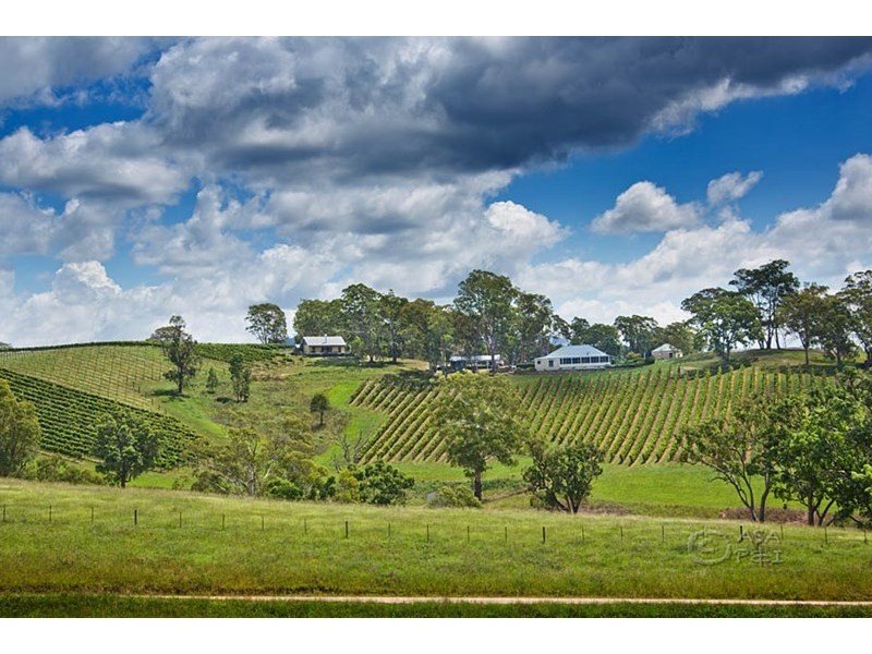 Dryridge Six Foot Track, Megalong NSW 2785