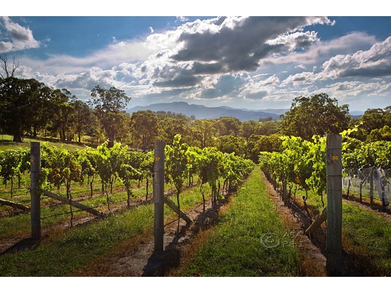 Dryridge Six Foot Track, Megalong NSW 2785