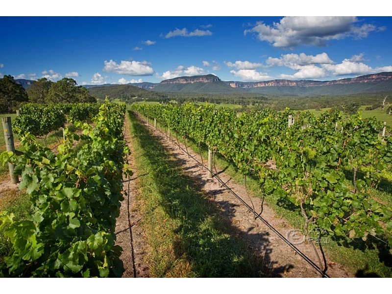 Dryridge Six Foot Track, Megalong NSW 2785