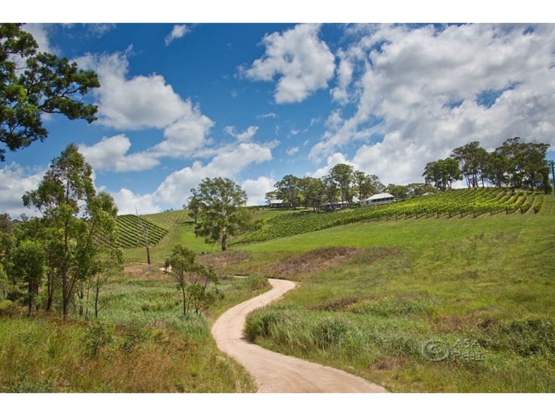 Dryridge Six Foot Track, Megalong NSW 2785