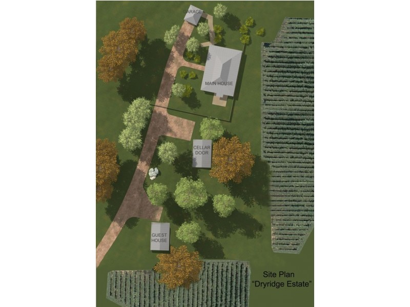 Dryridge Six Foot Track, Megalong NSW 2785