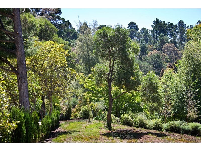 18 Park Avenue, Blackheath NSW 2785