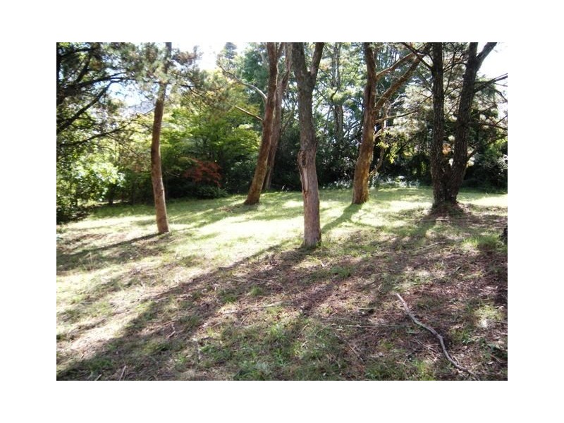 12 Cross Street, Blackheath NSW 2785