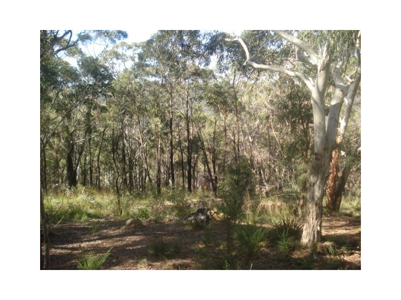 51 St Georges Parade, Mount Victoria NSW 2786