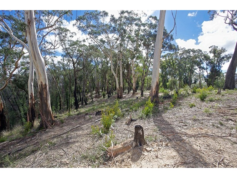 199 Donald Road, Clarence NSW 2790