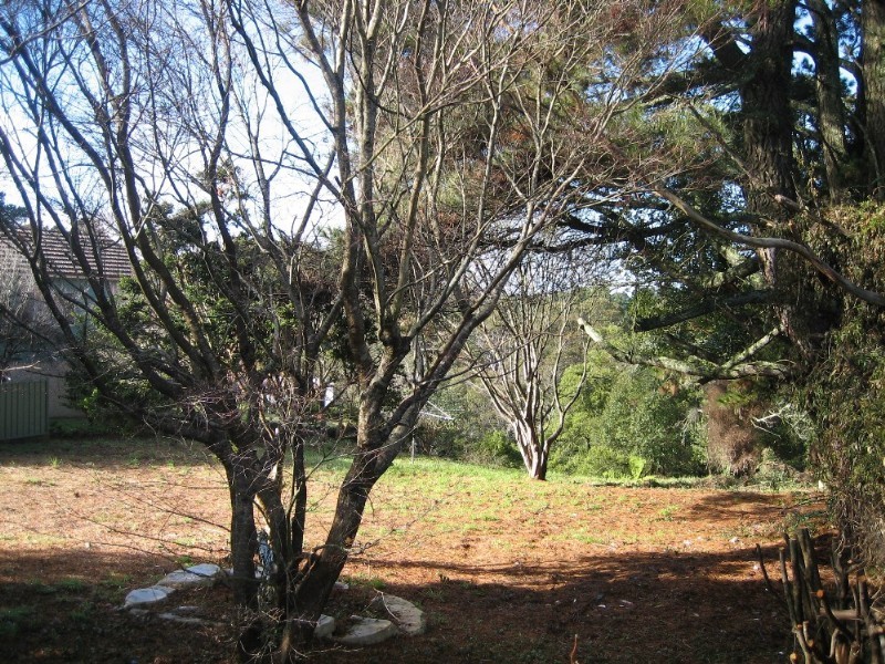 31 Hat Hill Road, Blackheath NSW 2785