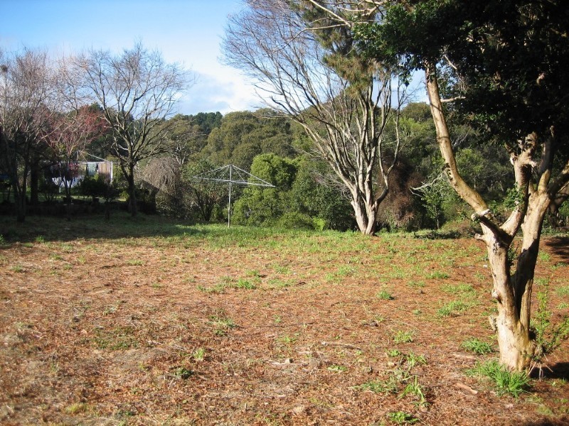 31 Hat Hill Road, Blackheath NSW 2785