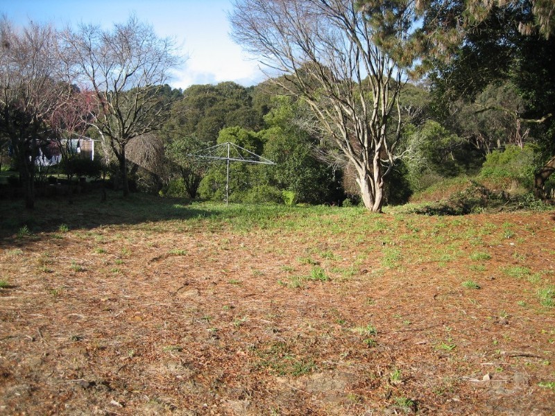 31 Hat Hill Road, Blackheath NSW 2785