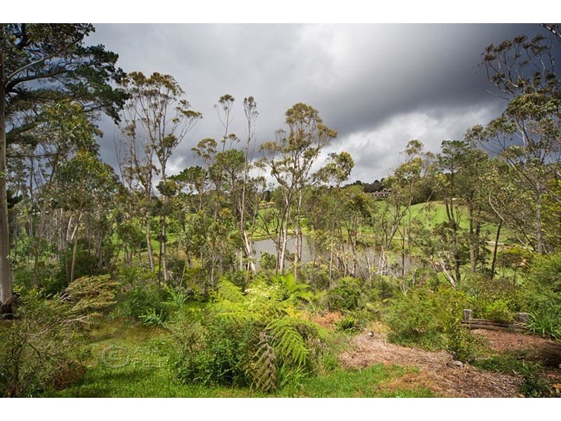 51 Hargraves Street, Blackheath NSW 2785