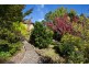 43 Inconstant Street, Blackheath NSW 2785